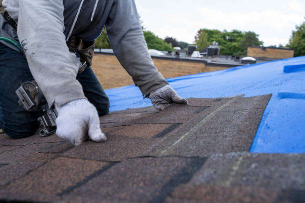 Best Roof Gutter Cleaning  in Martsville, IN